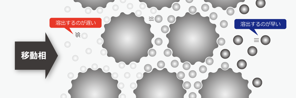 サイズ排除（分子量分布）クロマトグラフィーの図解